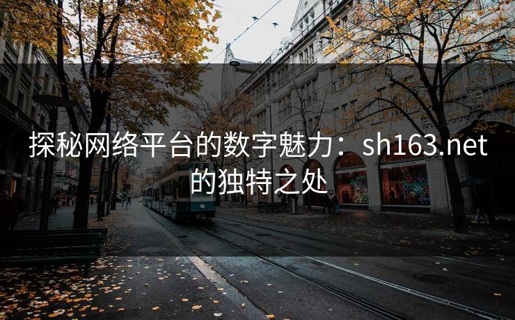 探秘网络平台的数字魅力：sh163.net的独特之处